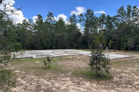 Terreno en venta en Williston, Florida № 2323123 - foto 12