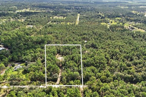 Terreno en Williston, Florida № 2323123
