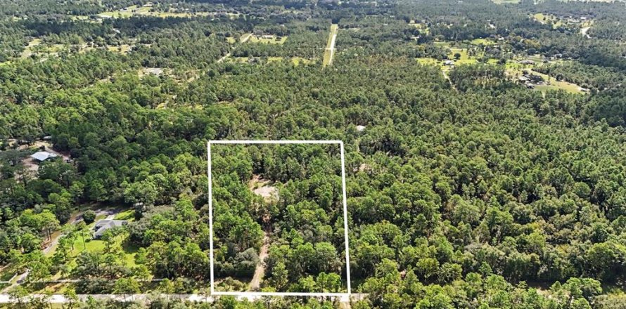 Terreno en Williston, Florida № 2323123