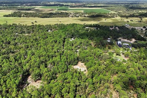 Terreno en venta en Williston, Florida № 2323123 - foto 9