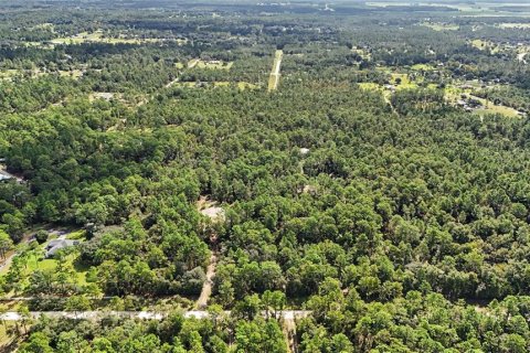 Terreno en venta en Williston, Florida № 2323123 - foto 18
