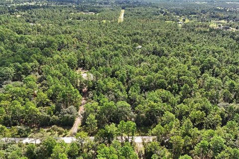Terreno en venta en Williston, Florida № 2323123 - foto 16
