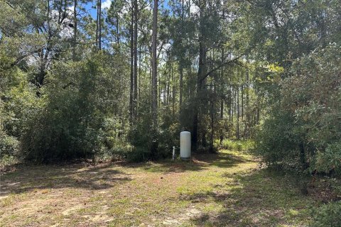 Terreno en venta en Williston, Florida № 2323123 - foto 14
