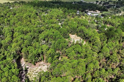 Terreno en venta en Williston, Florida № 2323123 - foto 7