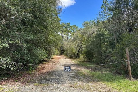 Terreno en venta en Williston, Florida № 2323123 - foto 3