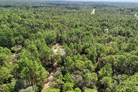 Terreno en venta en Williston, Florida № 2323123 - foto 15