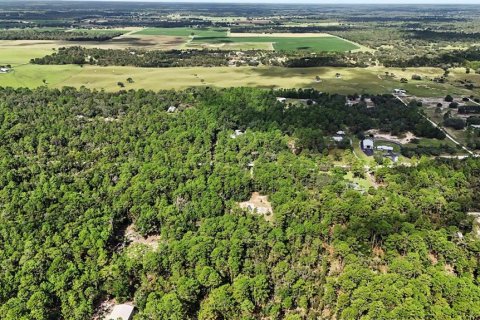 Terreno en venta en Williston, Florida № 2323123 - foto 8