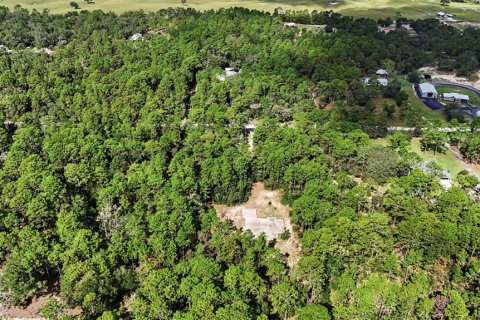 Terreno en venta en Williston, Florida № 2323123 - foto 10