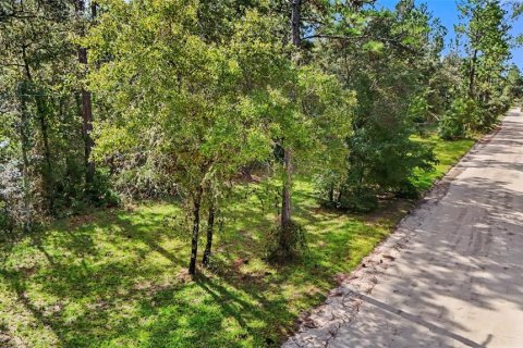 Terreno en venta en Williston, Florida № 2323123 - foto 4