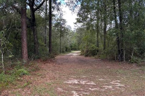 Terreno en venta en Williston, Florida № 2323123 - foto 5
