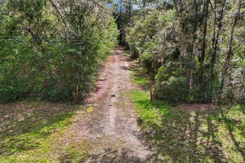 Terreno en venta en Williston, Florida № 2323123 - foto 2