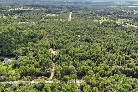 Terreno en venta en Williston, Florida № 2323123 - foto 17