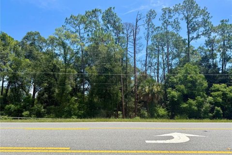 Terrain à Eustis, Floride № 2226223