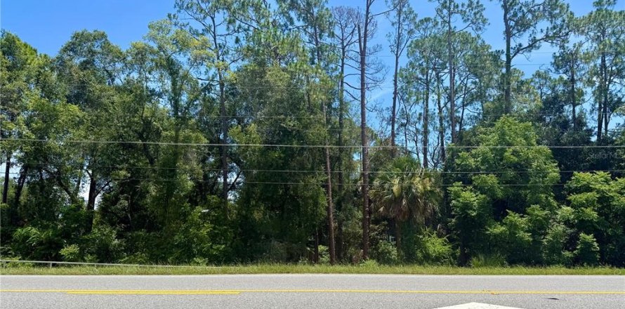 Terrain à Eustis, Floride № 2226223