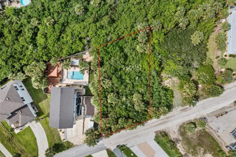 Land in Flagler Beach, Florida № 1858244 - photo 2