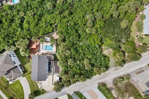 Land in Flagler Beach, Florida № 1858244 - photo 3