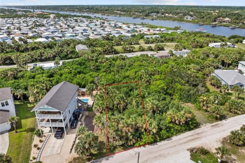 Land in Flagler Beach, Florida № 1858244 - photo 4