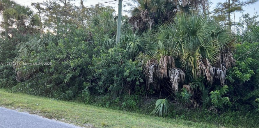 Land in Naples, Florida № 1868521