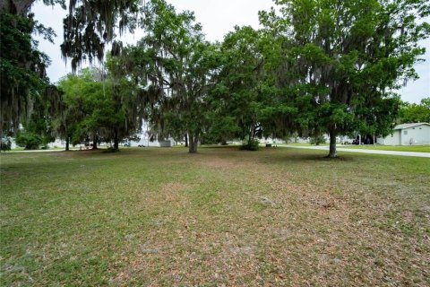 Land in Wildwood, Florida № 2277247