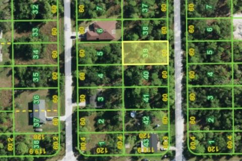 Land in Punta Gorda, Florida № 2402764 - photo 2