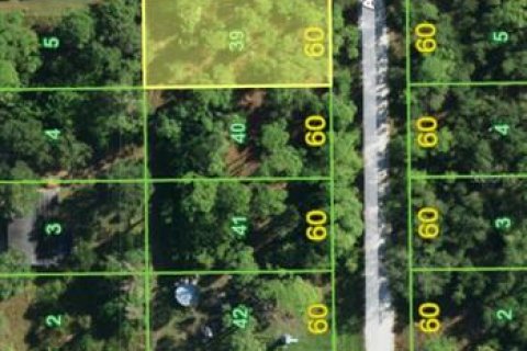 Land in Punta Gorda, Florida № 2402764 - photo 3