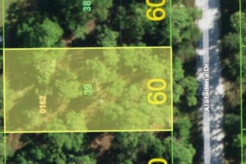 Land in Punta Gorda, Florida № 2402764