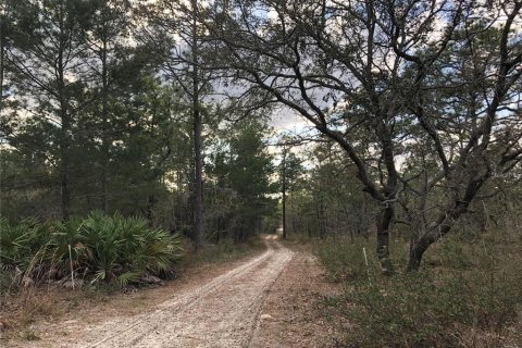 Land in Dunnellon, Florida № 2350046