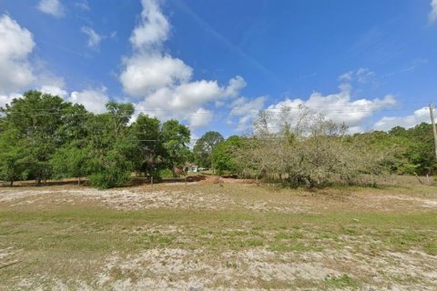 Terrain à vendre à Polk City, Floride № 2162217 - photo 3