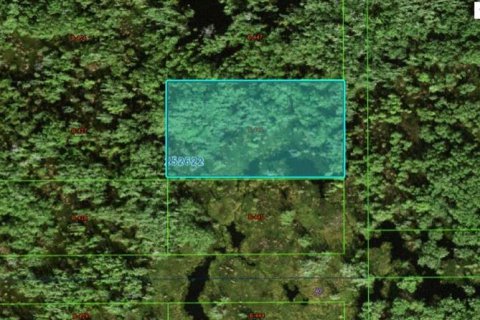 Terrain à Polk City, Floride № 2162217