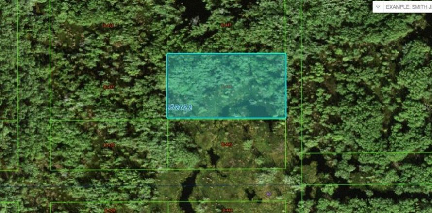 Terrain à Polk City, Floride № 2162217