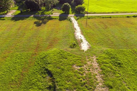 Land in Parrish, Florida № 745522 - photo 3