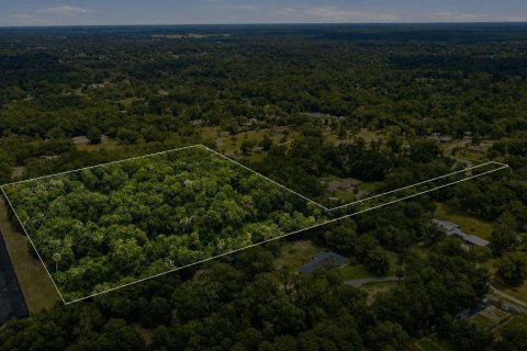 Land in DeLand, Florida № 2259207 - photo 2