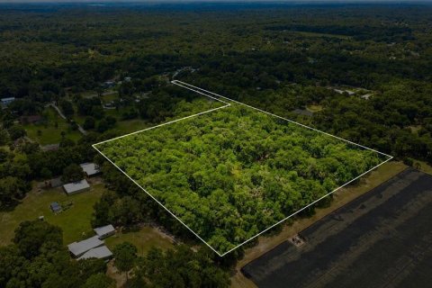 Land in DeLand, Florida № 2259207 - photo 3