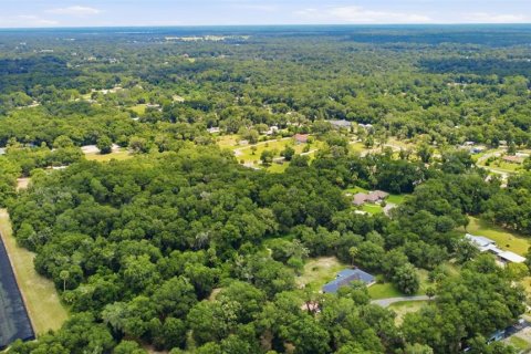 Land in DeLand, Florida № 2259207 - photo 11