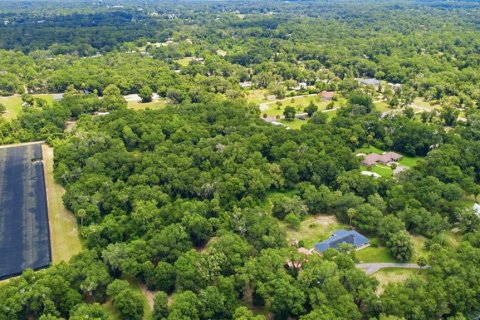Land in DeLand, Florida № 2259207 - photo 12