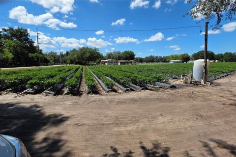 Terreno en venta en Dover, Florida № 2102424 - foto 2