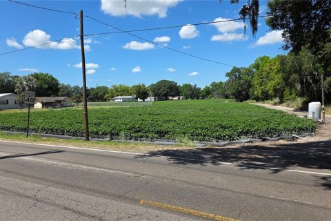 Terreno en Dover, Florida № 2102424