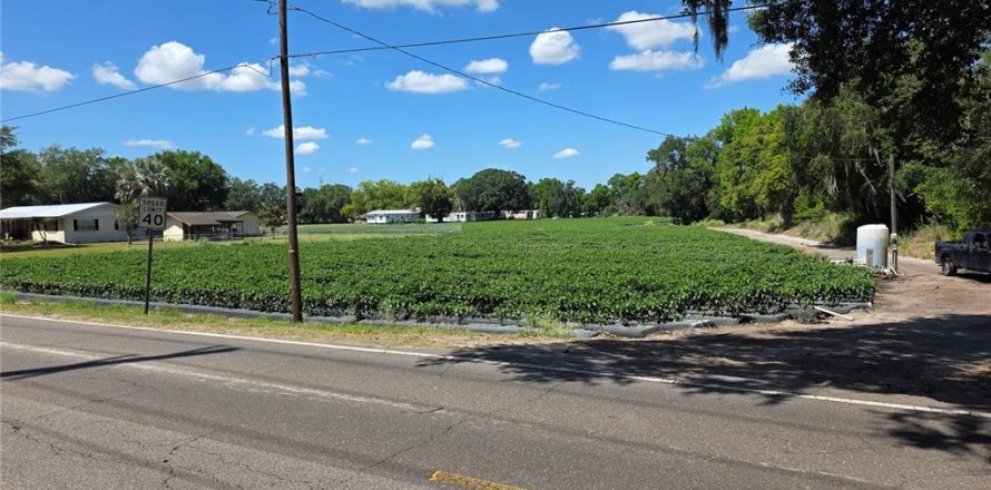 Terreno en Dover, Florida № 2102424