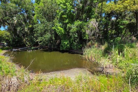 Terreno en venta en Dover, Florida № 2102424 - foto 8