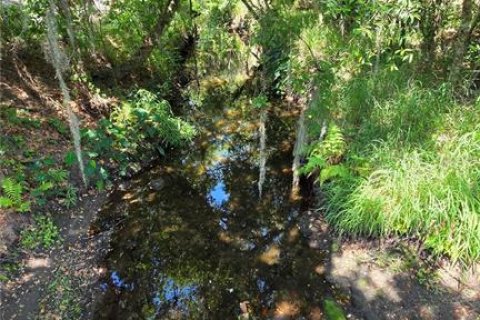 Terreno en venta en Dover, Florida № 2102424 - foto 5