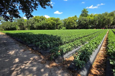 Terreno en venta en Dover, Florida № 2102424 - foto 10