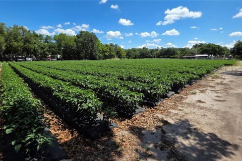 Terreno en venta en Dover, Florida № 2102424 - foto 11