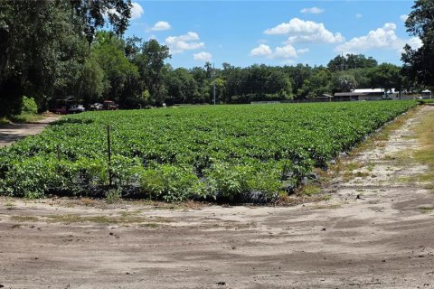 Terreno en venta en Dover, Florida № 2102424 - foto 9