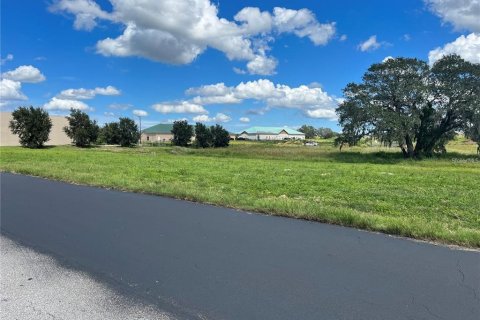 Terreno en venta en Davenport, Florida № 1564703 - foto 2