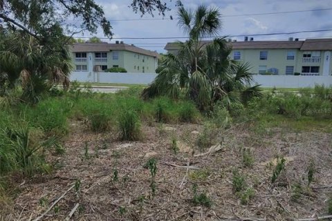 Land in Tarpon Springs, Florida № 1769365 - photo 3