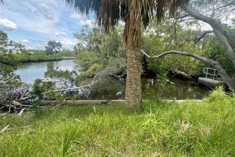 Land in Tarpon Springs, Florida № 1769365 - photo 2