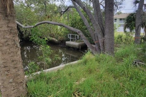 Land in Tarpon Springs, Florida № 1769365 - photo 5