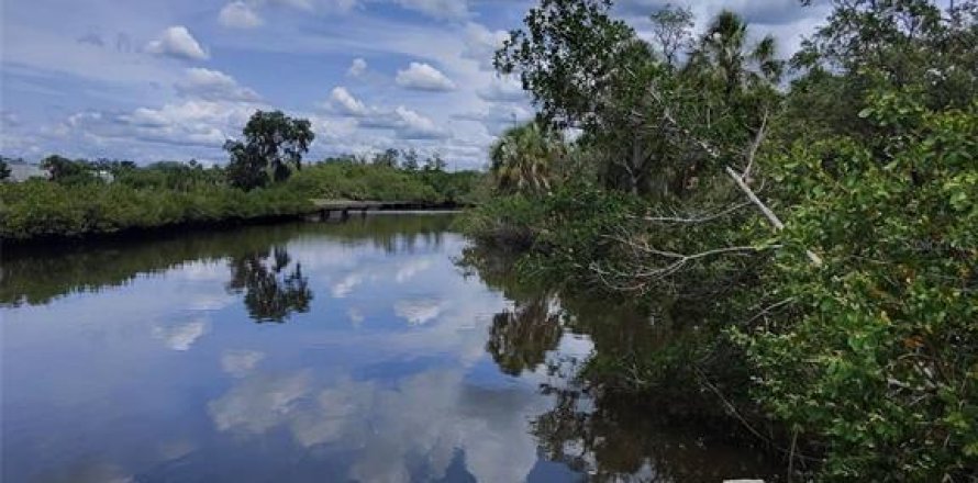 Land in Tarpon Springs, Florida № 1769365