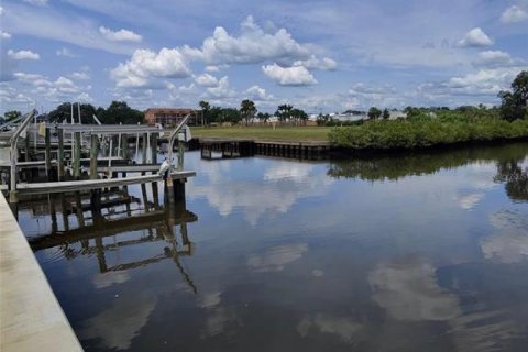 Land in Tarpon Springs, Florida № 1769365 - photo 6