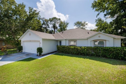 Villa ou maison à Palm Coast, Floride 3 chambres, 182.37 m2 № 2347997